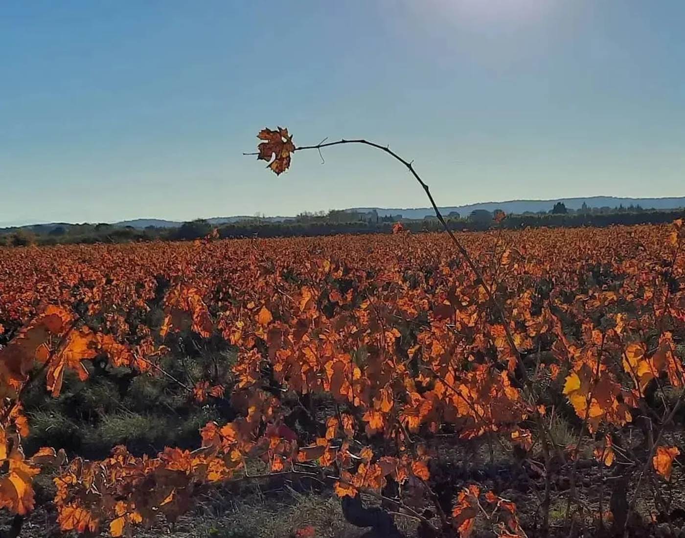 Les superbes couleurs automnales