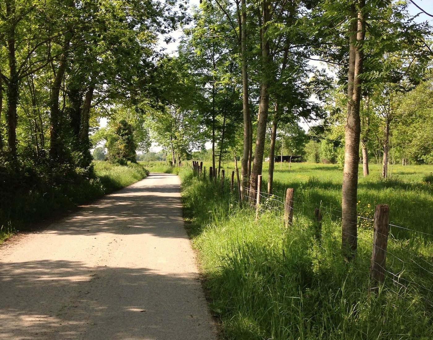 Velo route 81 vers Nay-page