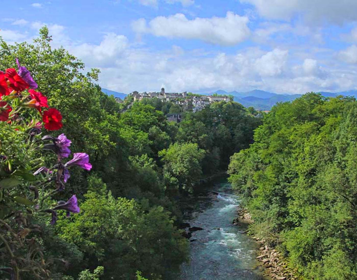 gave d'oloron pêche au saumon dog friendly horse friendly