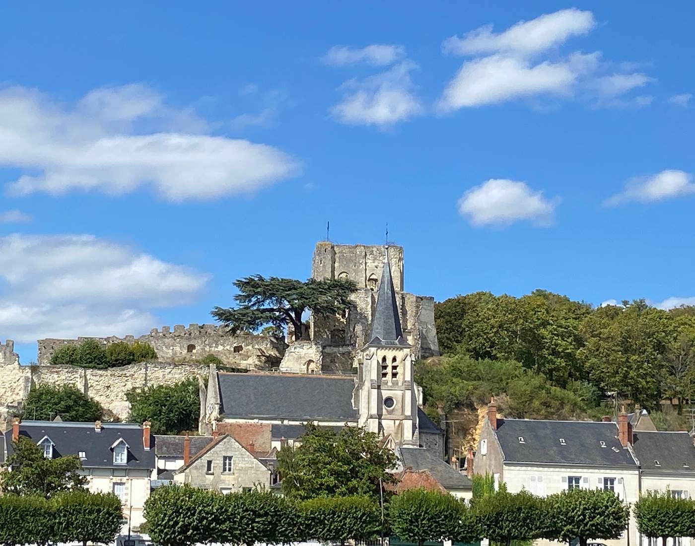 Montrichard vue sur le chateau