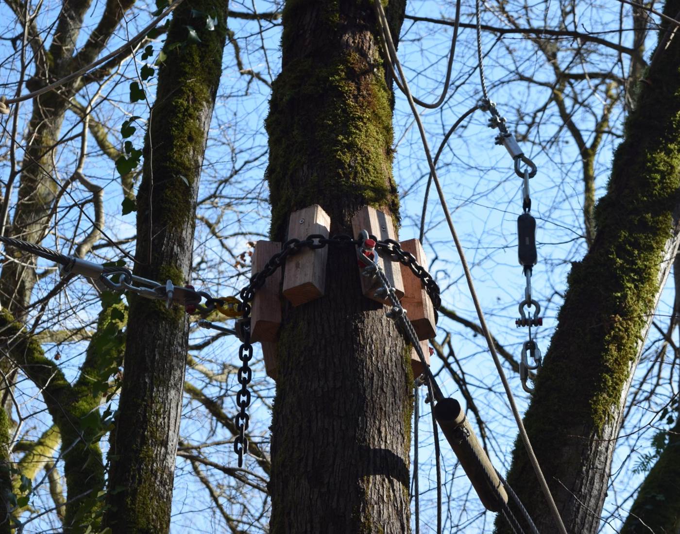 Système de serrage des cables