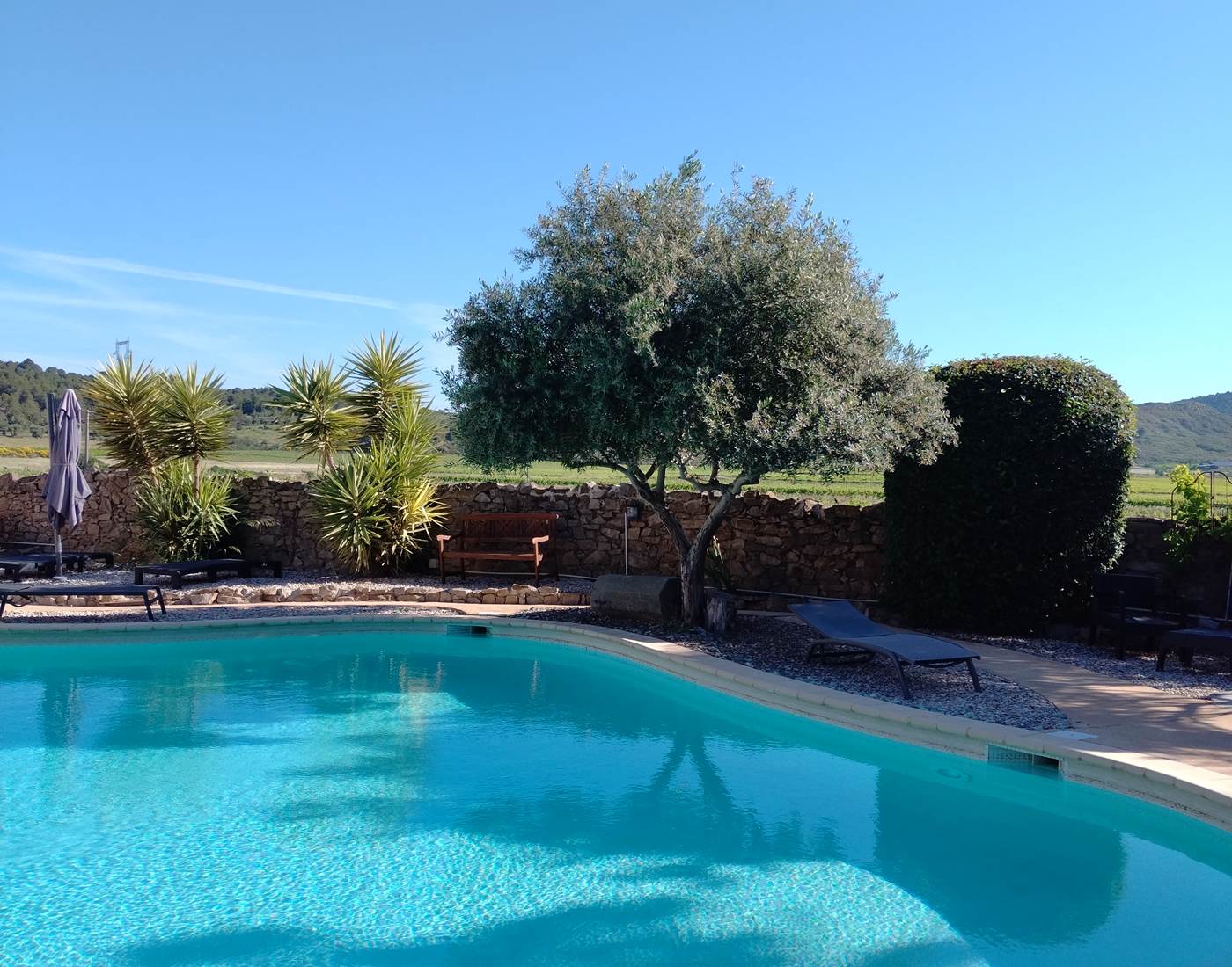 Piscine familiale mise à disposition de nos hôtes