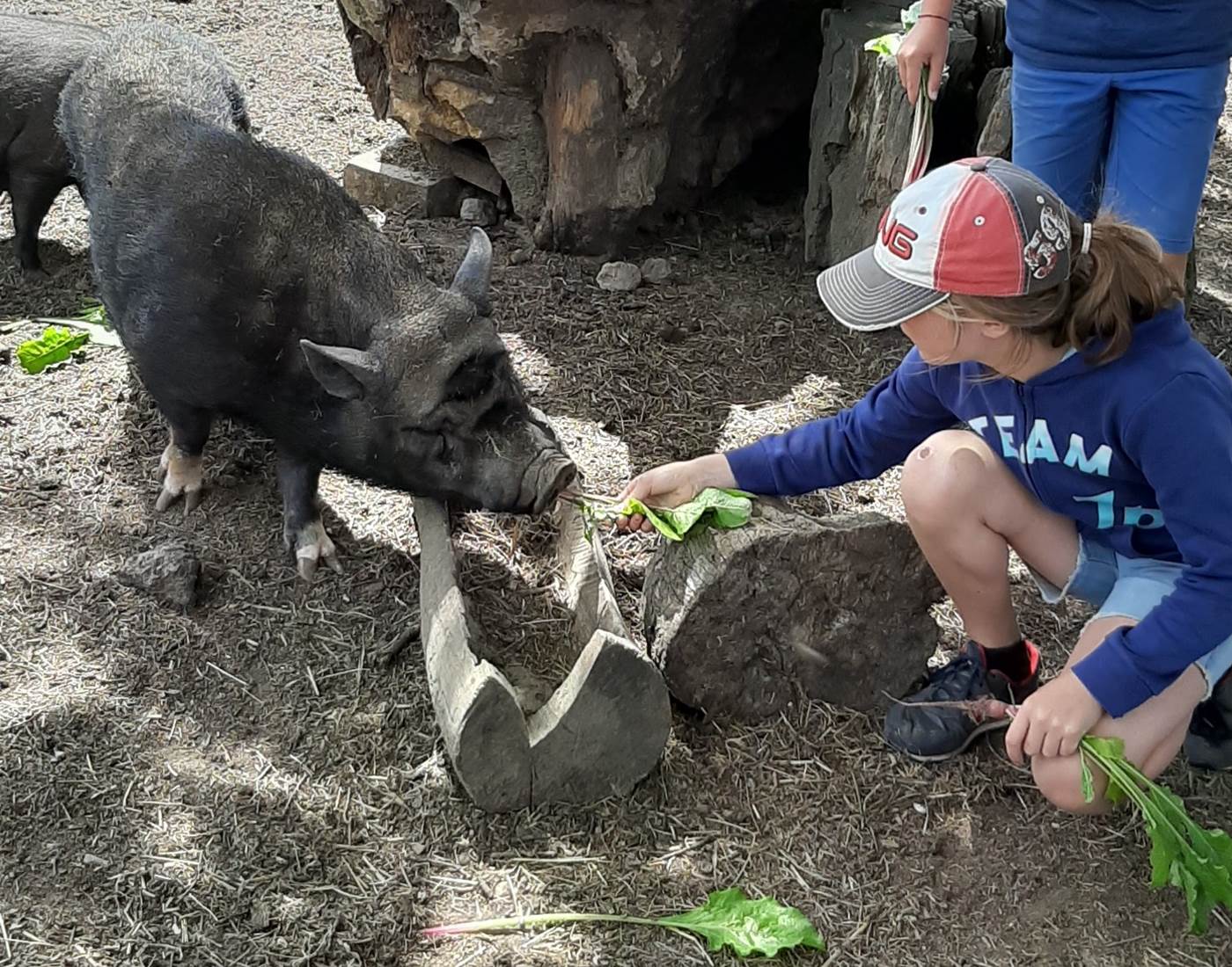 Rencontre avec Gniouf-Gniouf