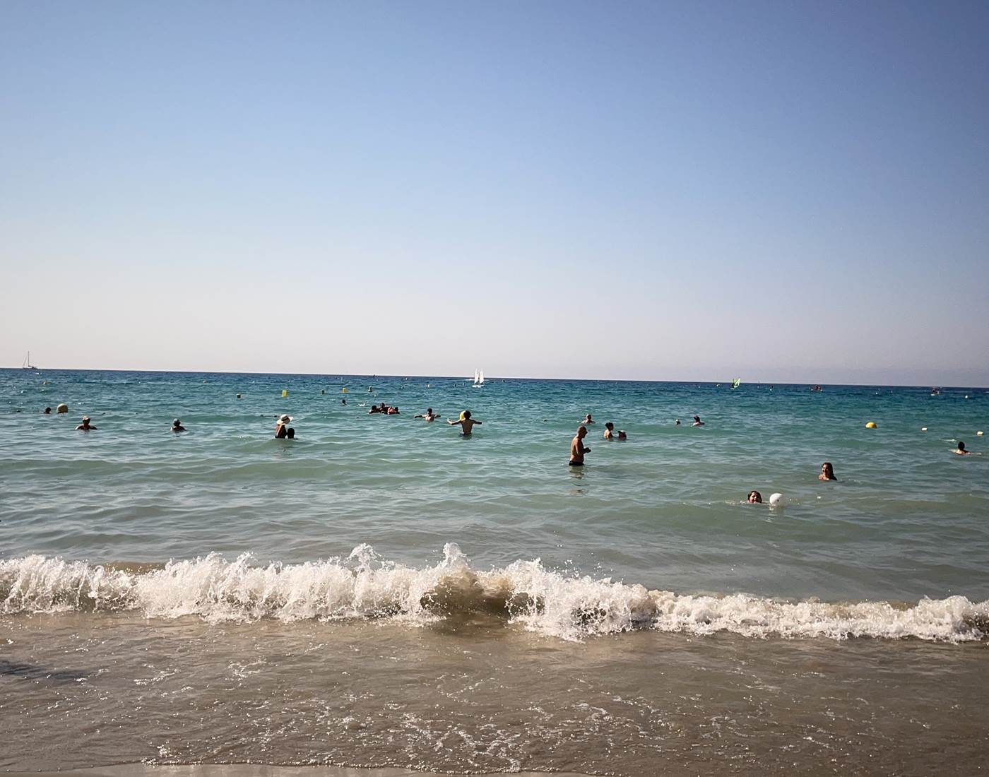 Sur la plage abandonnée, coquillages et crustacés...