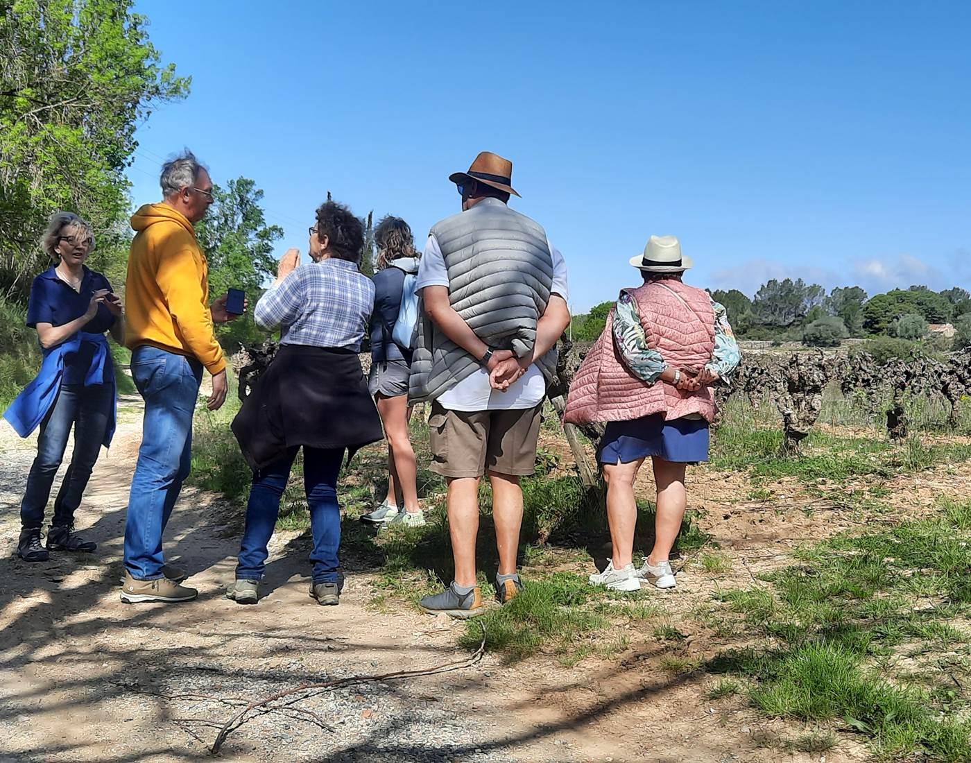 Première activité avec les vignerons Mailhacois 🍇 🍇 🍇