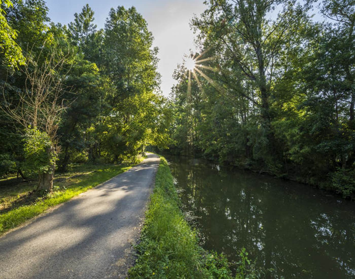 Sentier du Marais Poitevin - Copyright Julien Gazeau