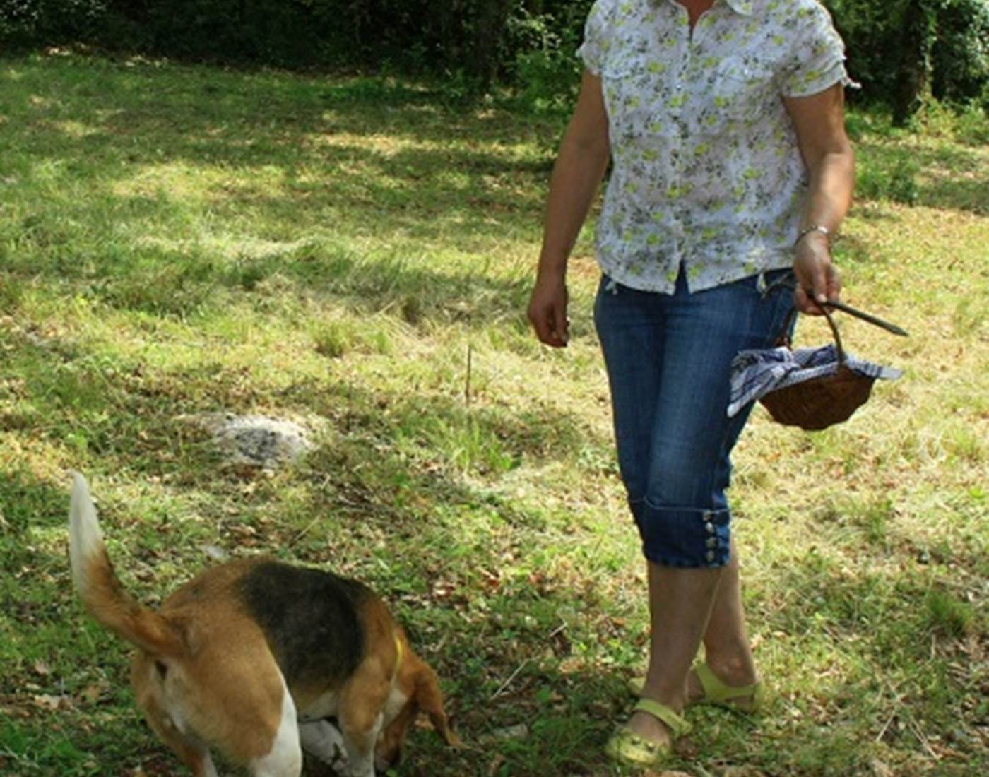 Truffe Passion à Limogne © Lot Tourisme - Truffe Passion 130615-155326