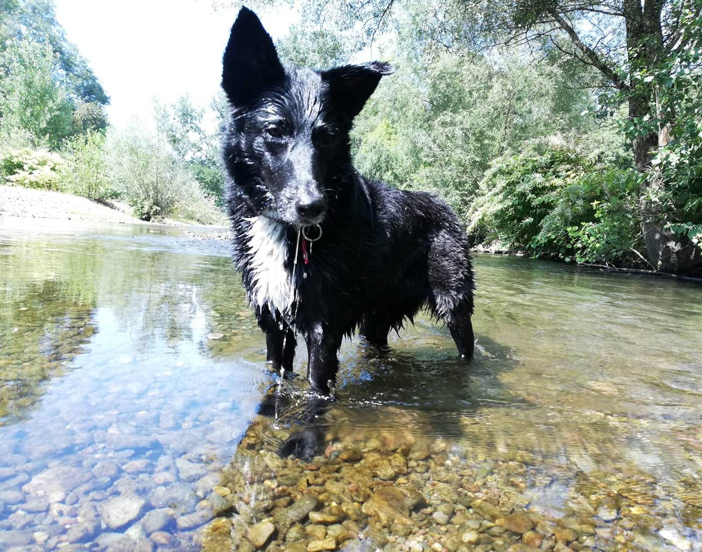 rivière-au-parcours-santé