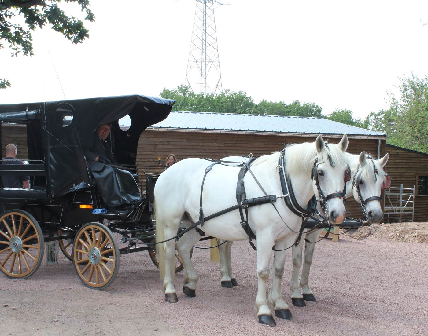 western-city caleche