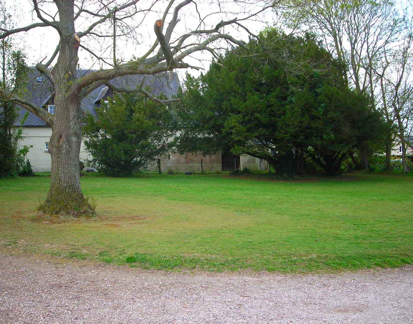 ronald 5 La Nouvelle Criqueboise Criquebeuf-en-Caux