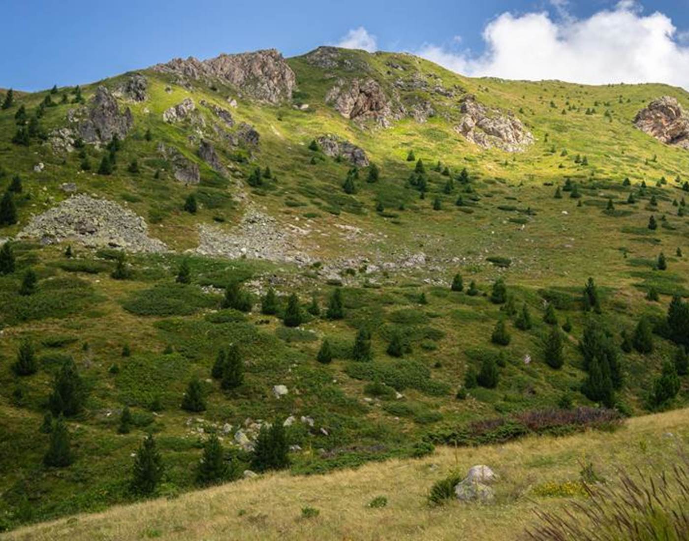 Découvrir la Vallée d'Aspe, les meilleures activités
