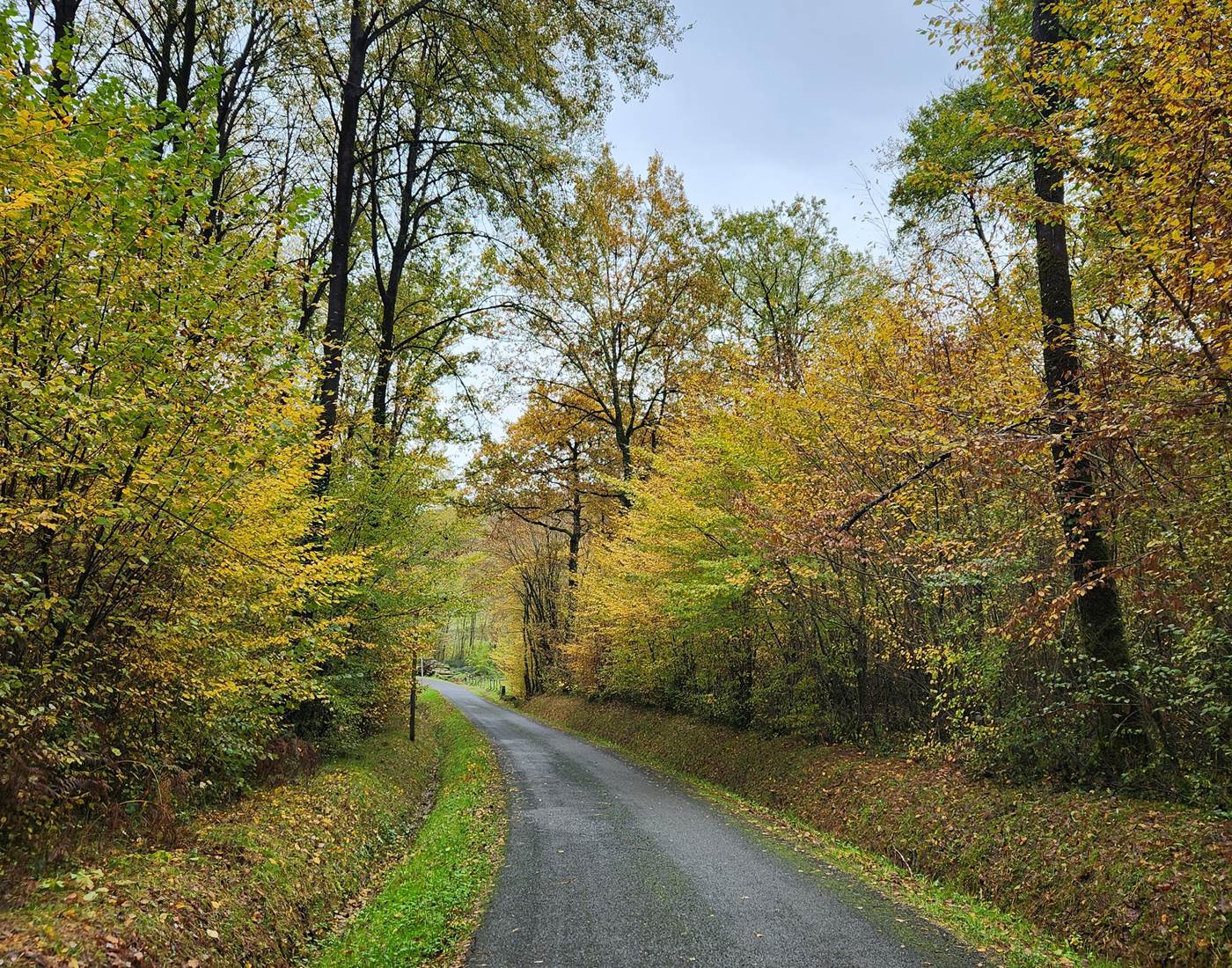 La Maison du Sabotier - Gite Corrèze-page