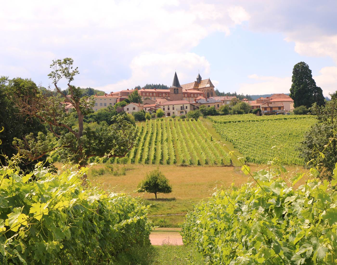 Le Vignoble de la Côte de Roannaise, Ambierle