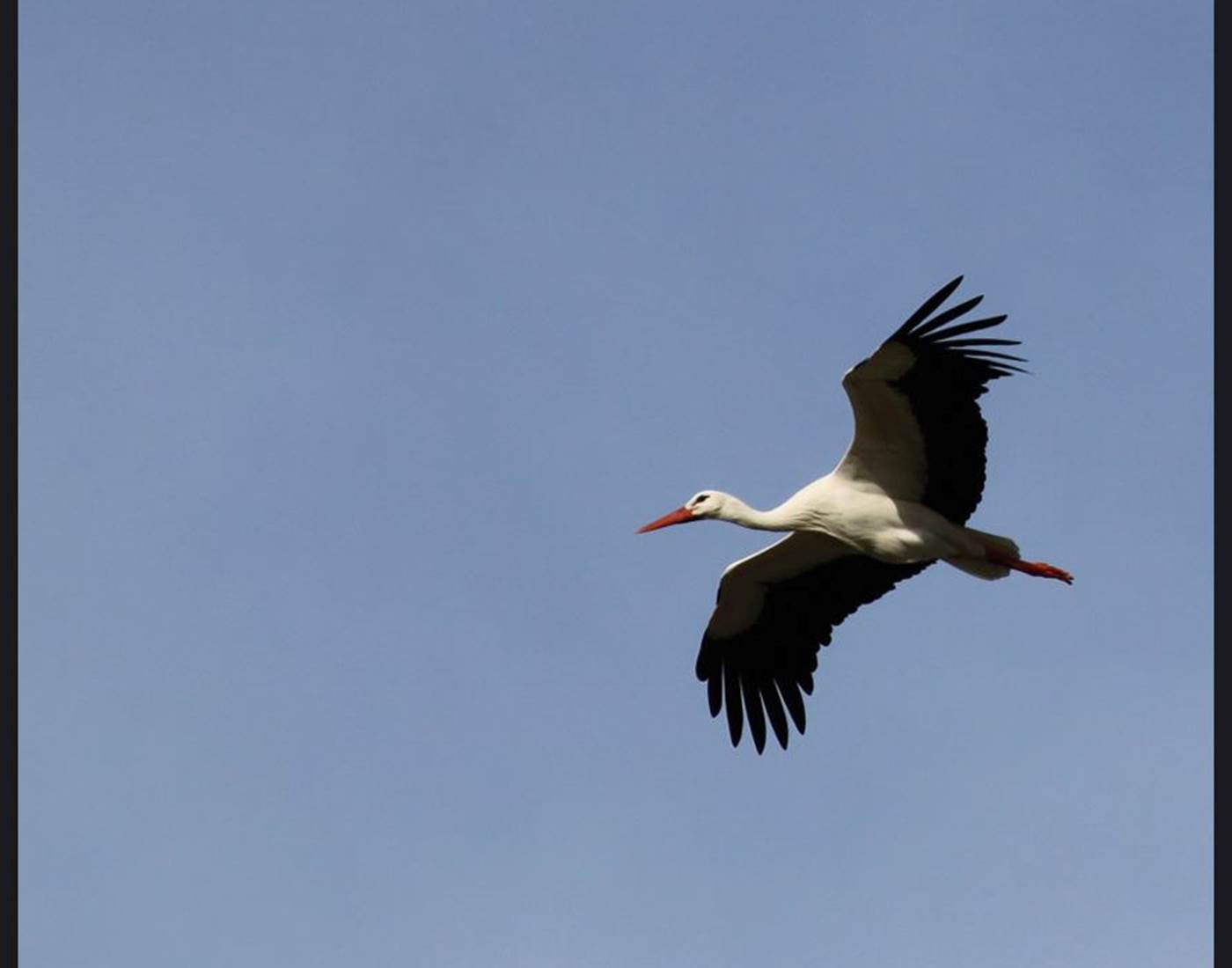 reserve estuaire de seine 3