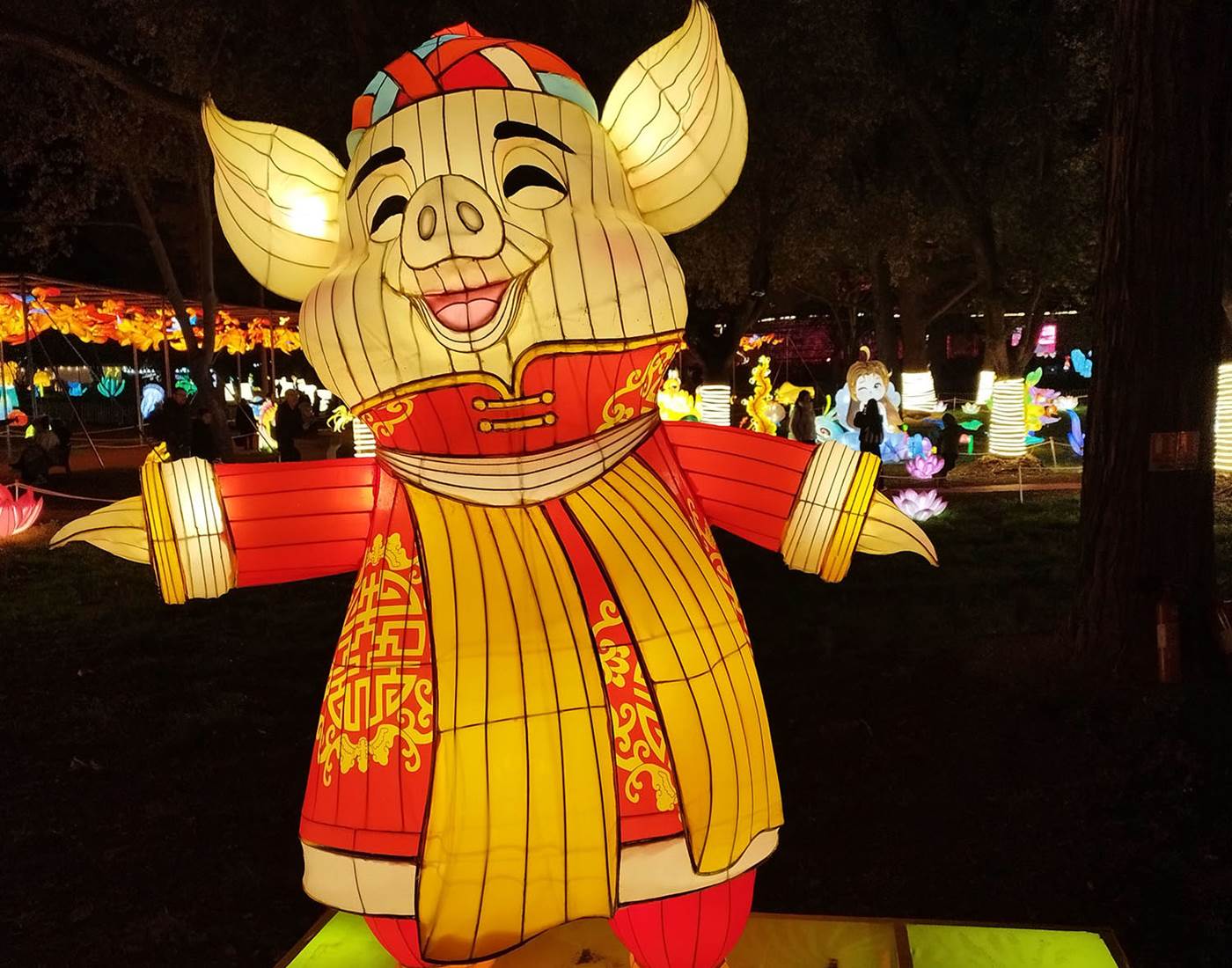 Signe chinois du Cochon