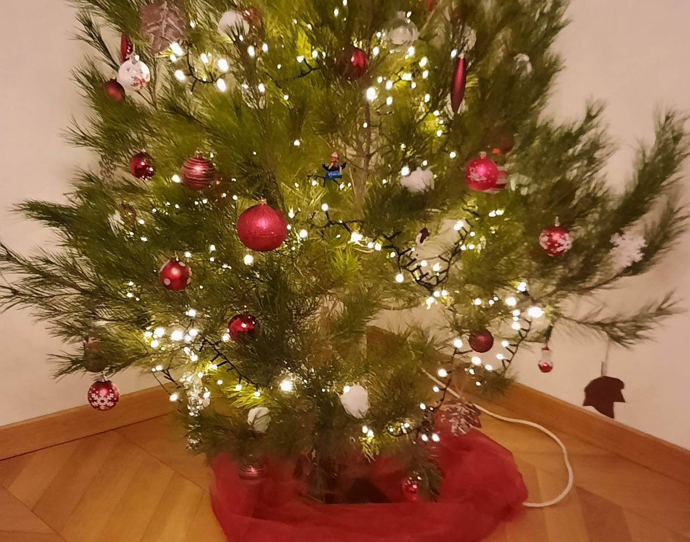 Les fêtes de fin d'année à Le Coq du Nord-Mailhac