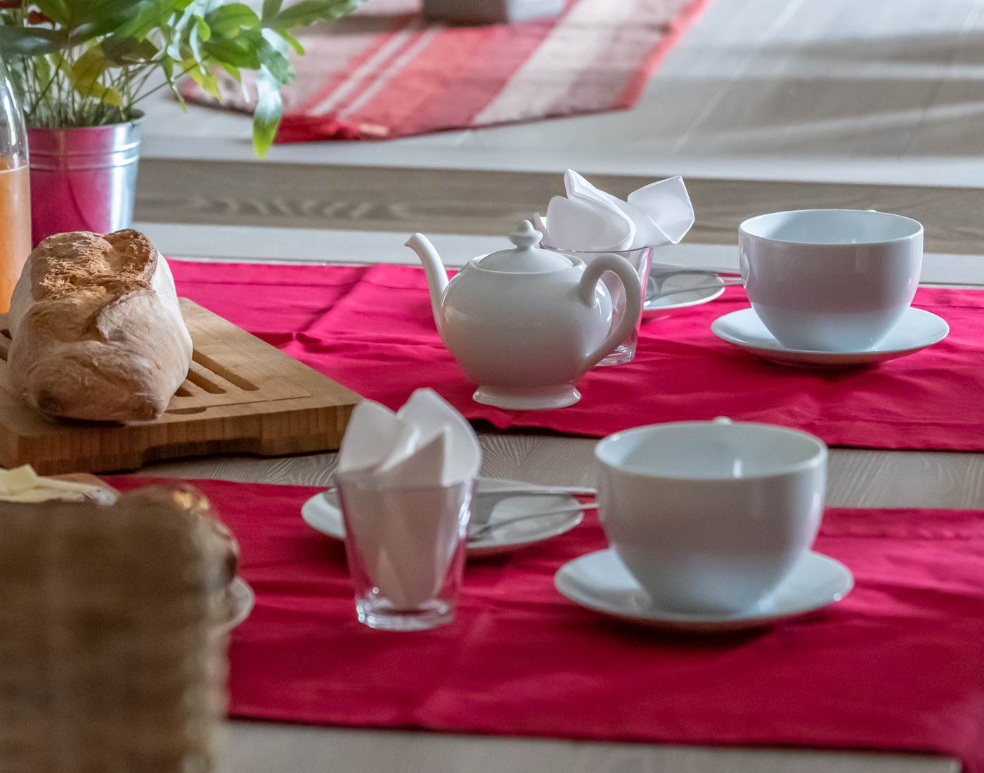 Bed and breakfast - terroir - limousin