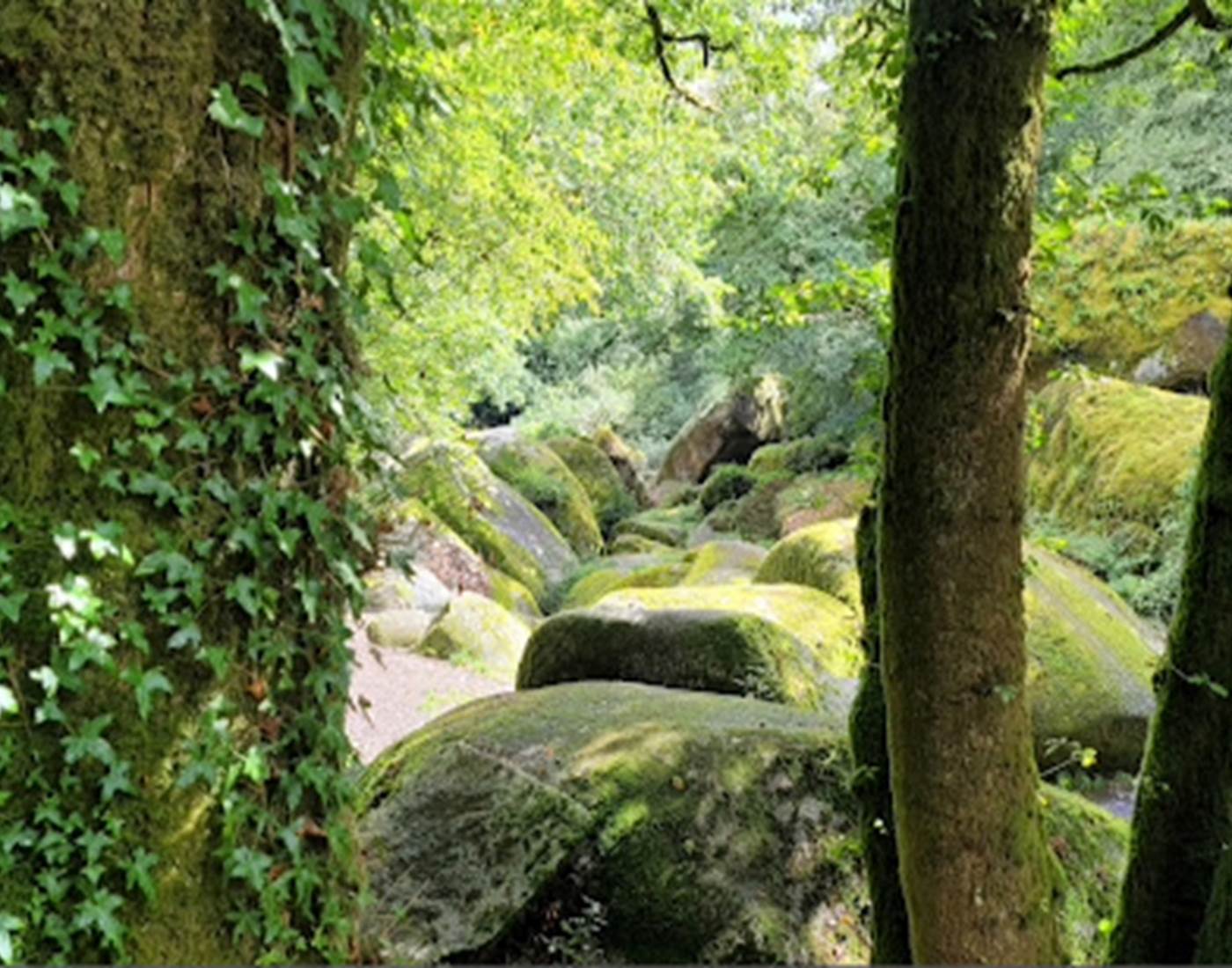 Forêt de Huelgoat-page
