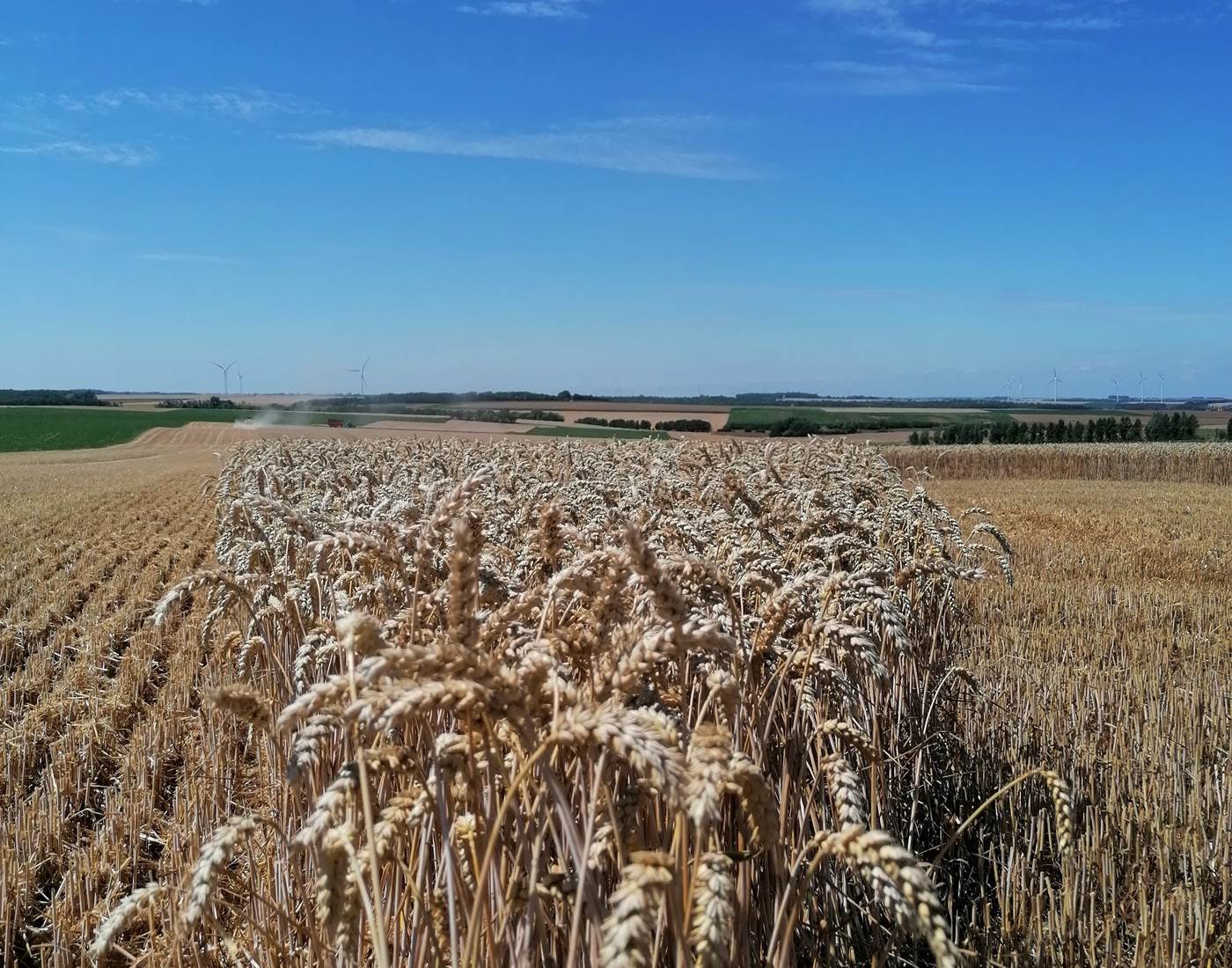 vue sur les champs de la ferme de Bonavis