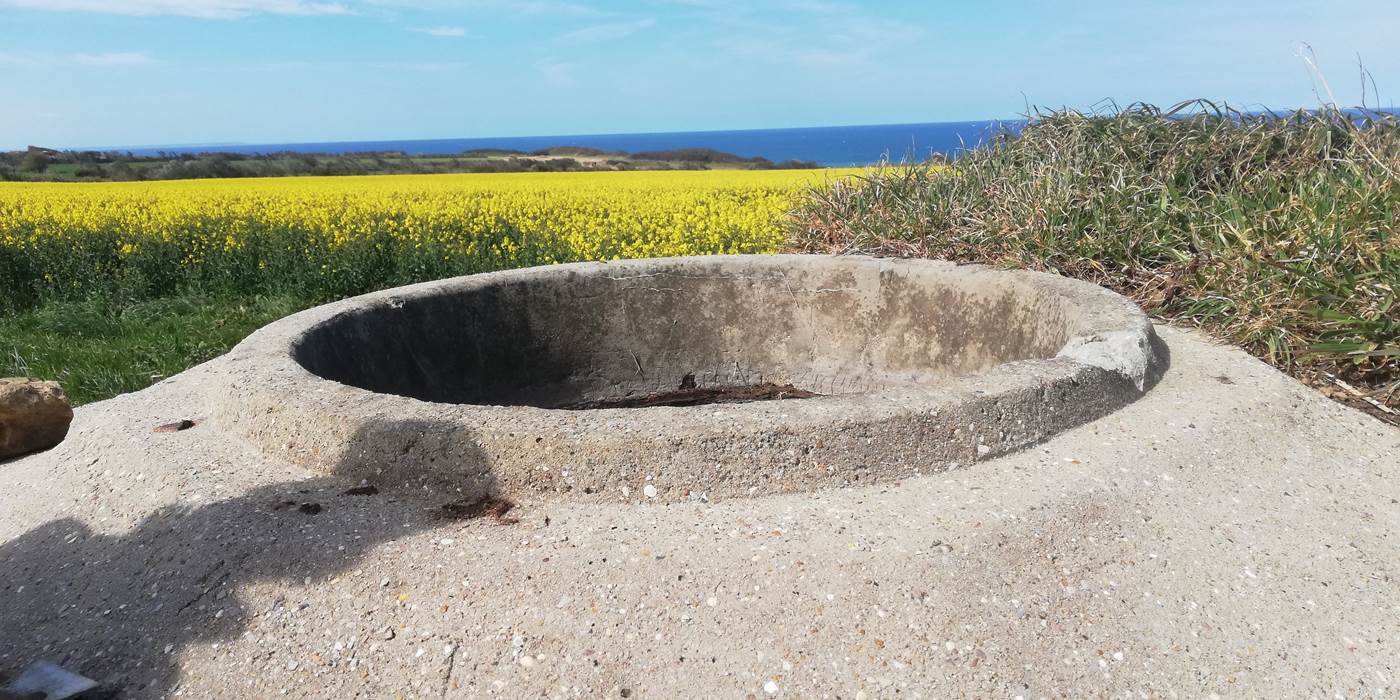 vue-sur-la-mer-champs-de-colza-jaune-vélomaritime-parcours-pédestre-