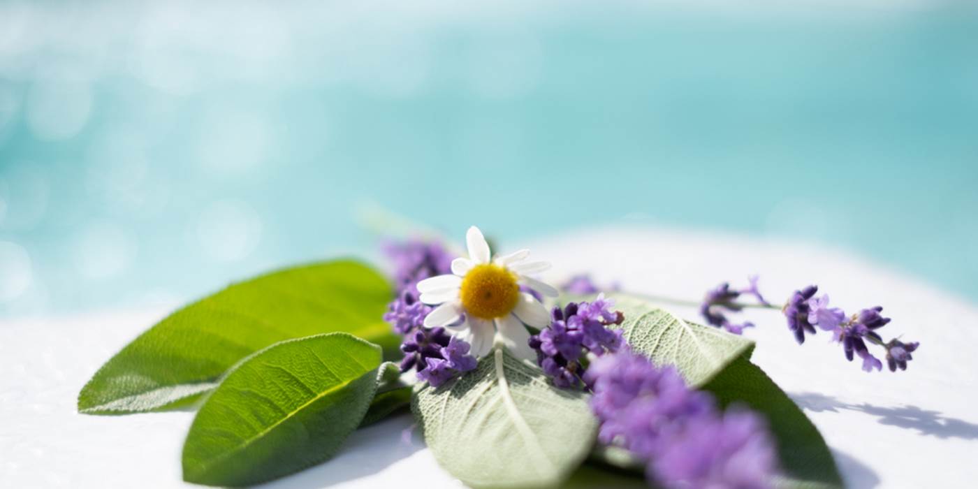 SPA (5)