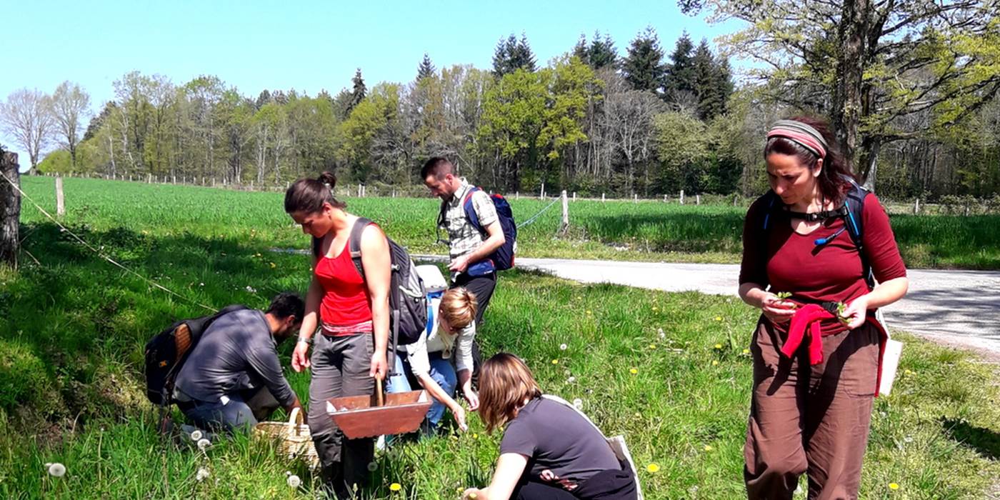 Sortie plantes sauvages comestibles et cuisine avril 2019 (1)