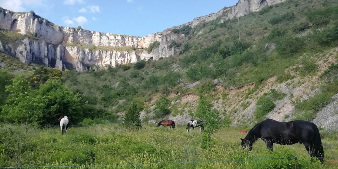Maison de Vignes - Chevaux bienvenus