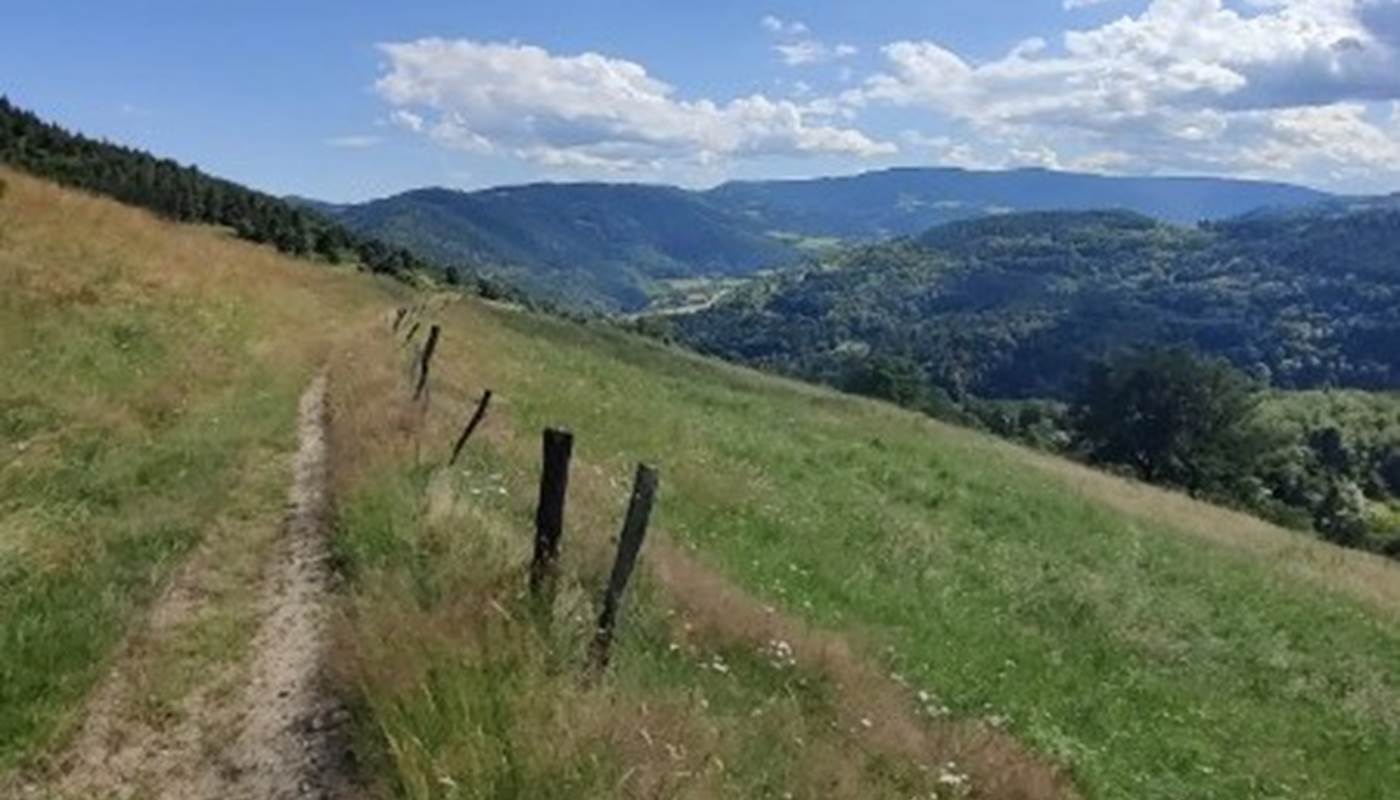 Sans titre-photo-page