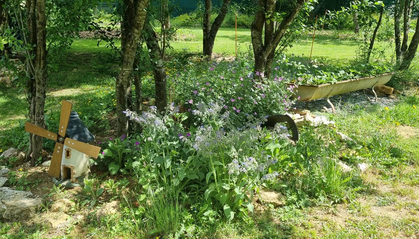Belaora Verger aromatique en mouvement-photo-page