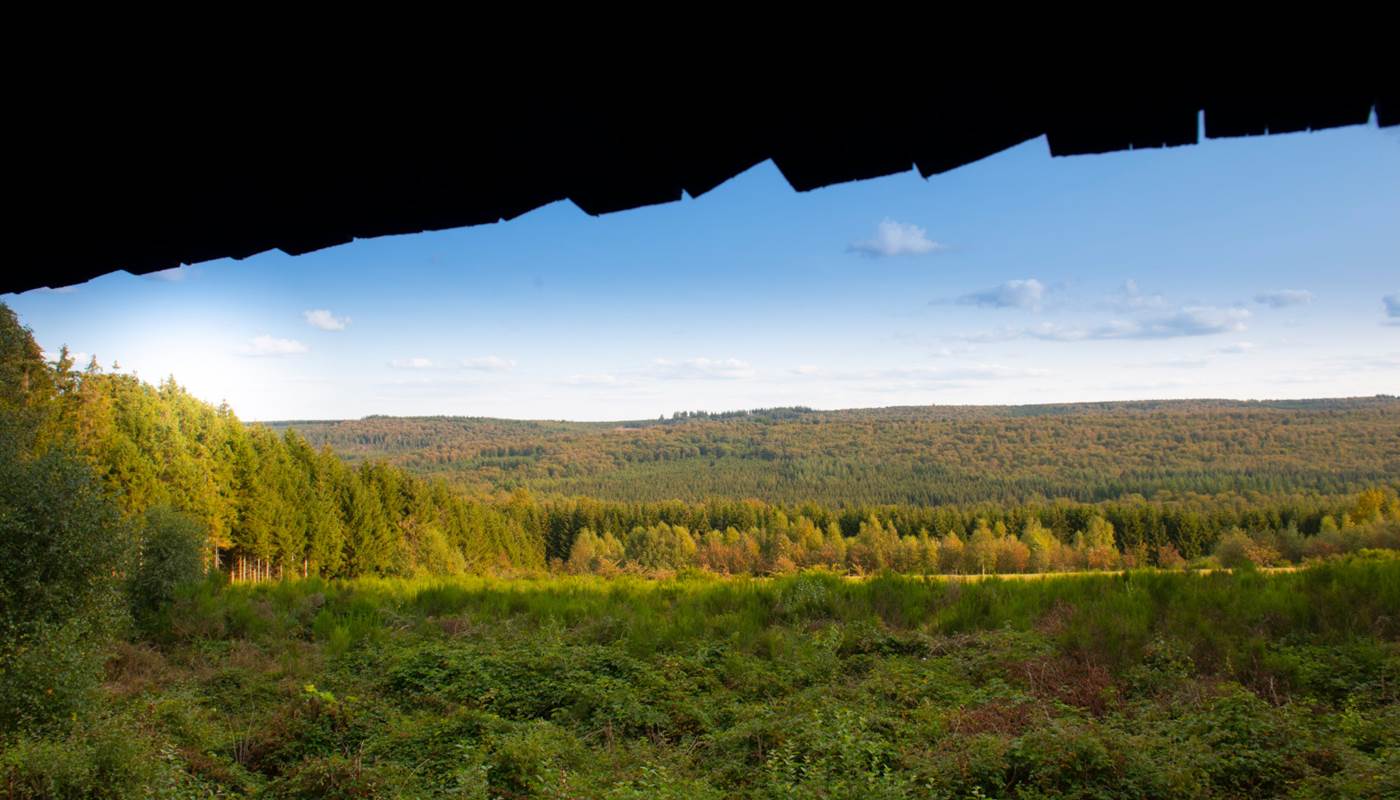 dbcreation.be - Vue de la Forêt de Saint-Hubert-photo-page