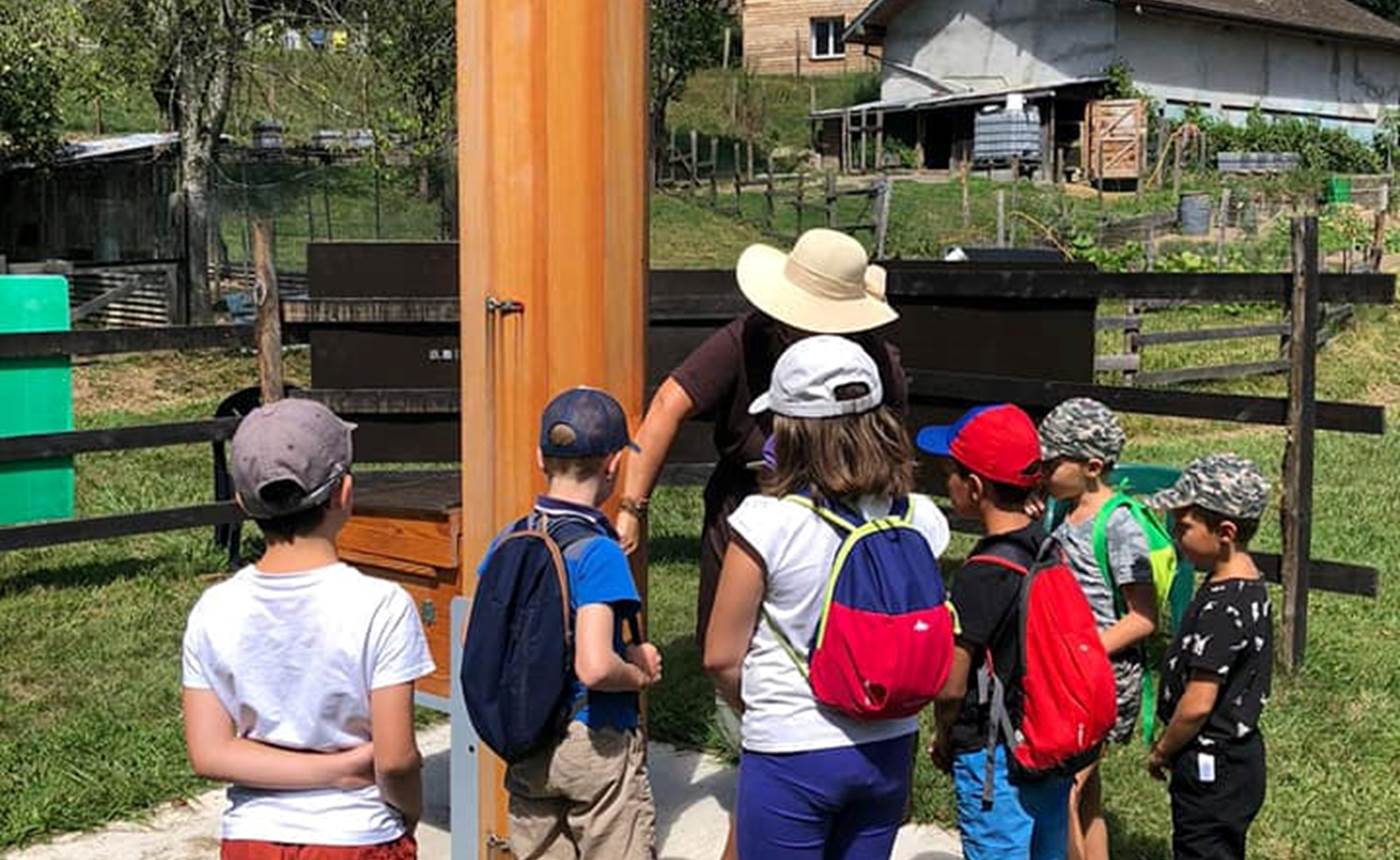 Découverte de la ferme - Les abeilles