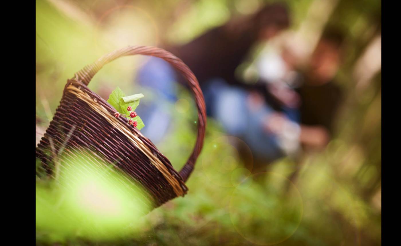 Panier dégustation - 2 personnes