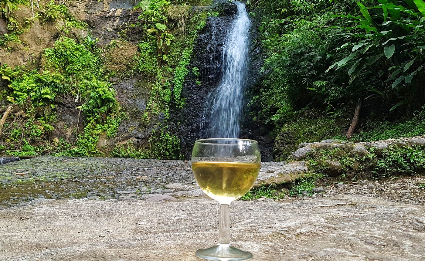 Vin de banane au saut Gendarme - visite excursion gourmande Pile et Face