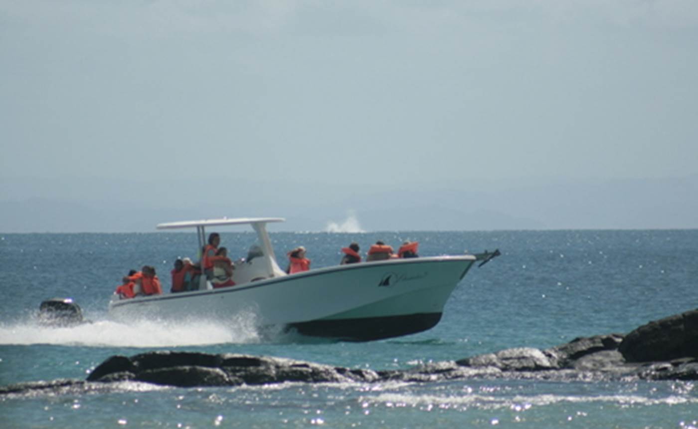 bateau de l'hotel : Libertalia 3 ( retour de sortie )