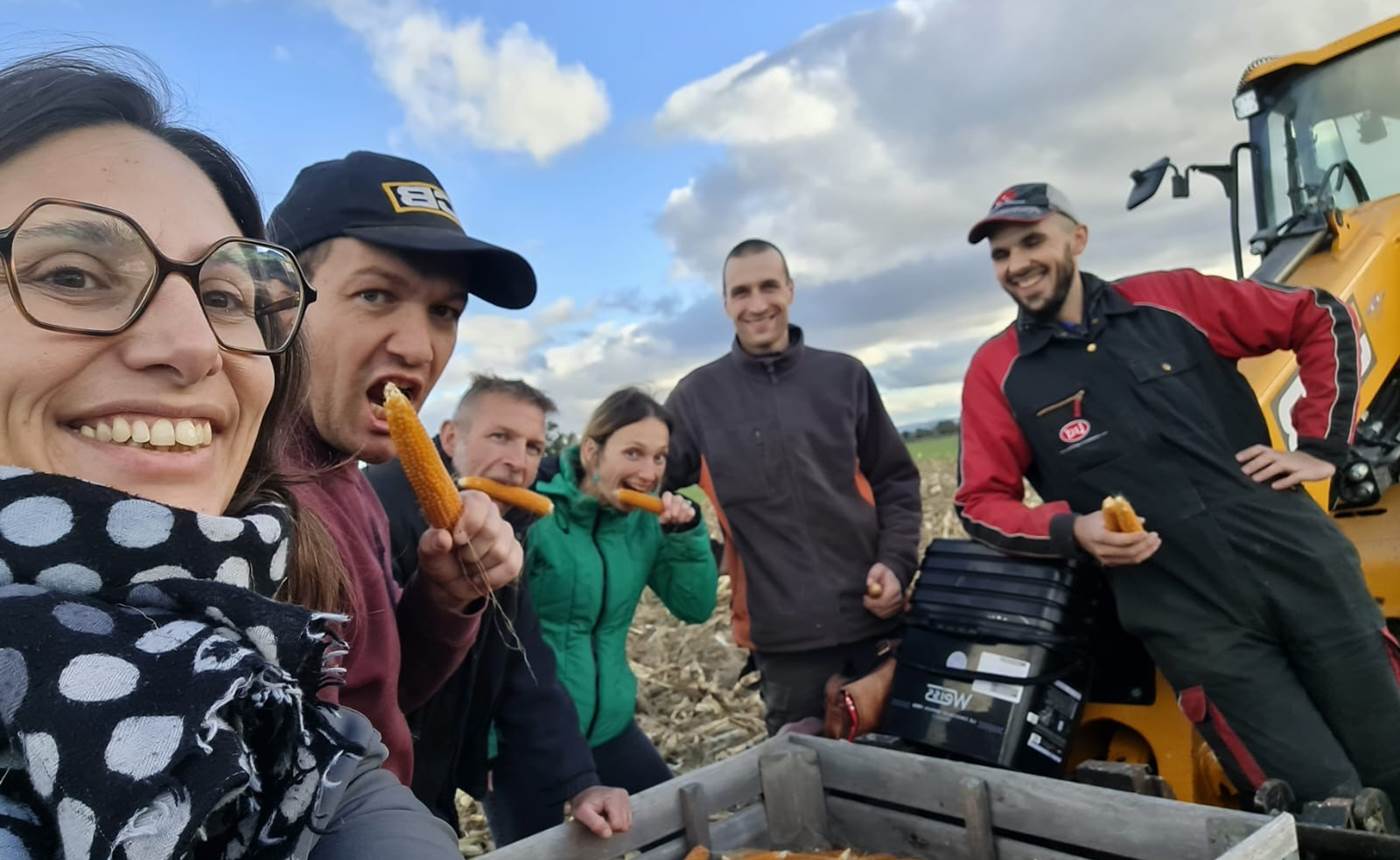 5c81862f-3486-41af-abe0-4365b7f33c5f