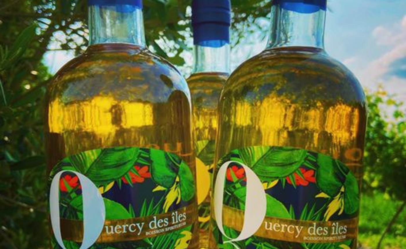 356060079_735121921745734_2442671862000124916_n