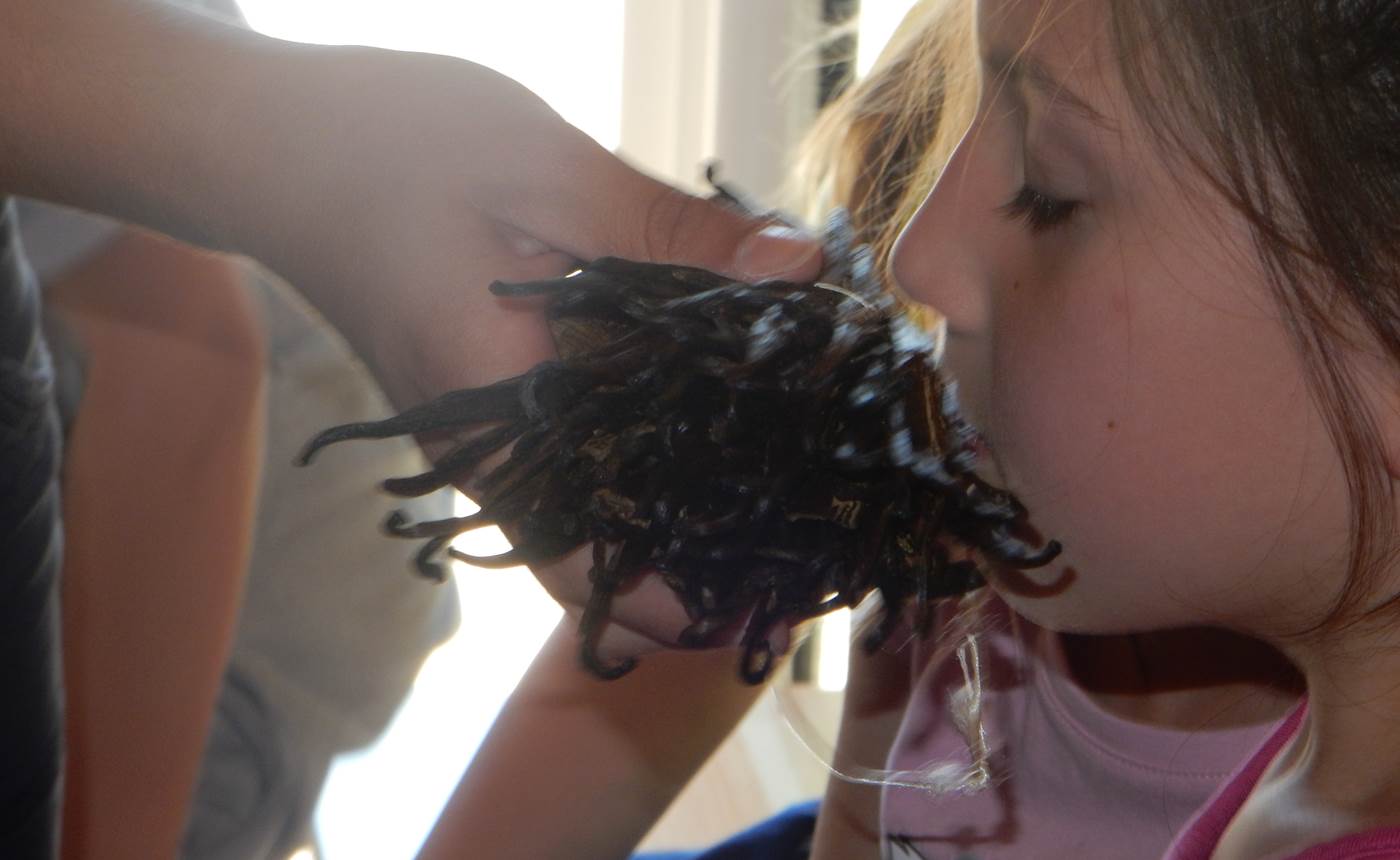 Visite Glaces et Saveurs et Petit Marché du Glacier