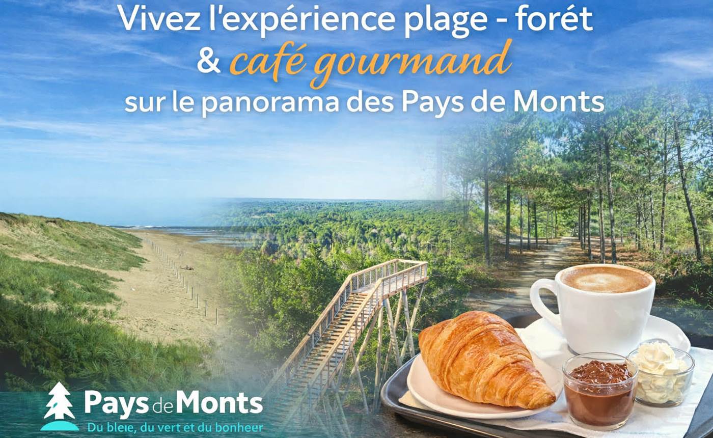 expe´rience_fatbike_plage fore^t_cafe´ gourmand