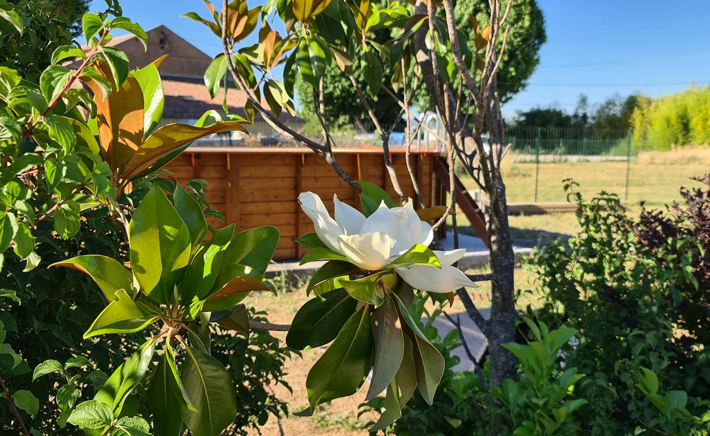 piscine avec vue Sainte Victoire