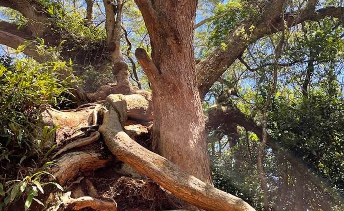 169250101_10222595560471906_8234604655372142927_n