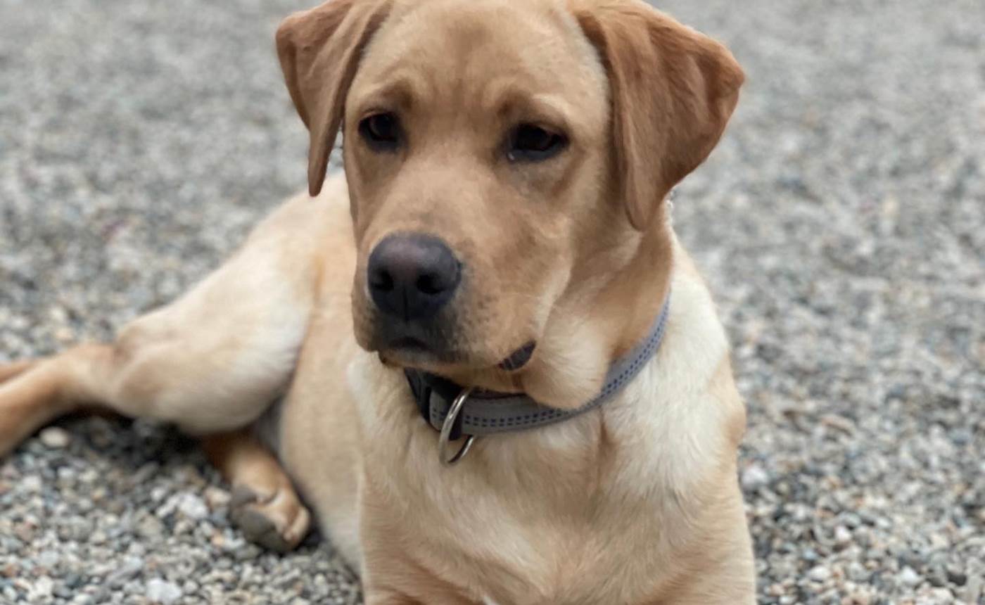 F688CF50-0CBD-4823-A49D-DE764FD6C813