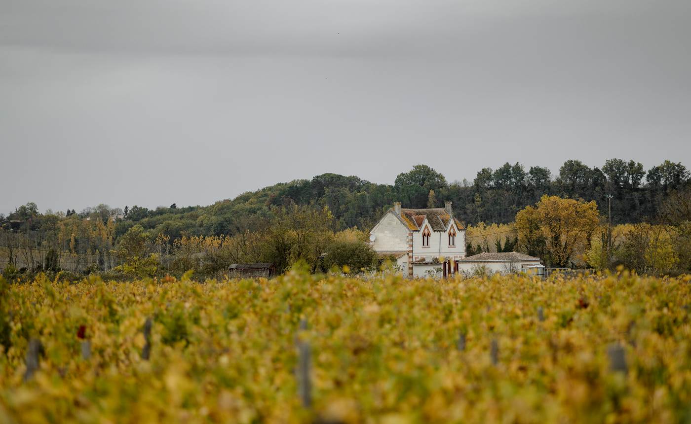 202211_Fre´de´ric-vieille-chapelle-32 - copie