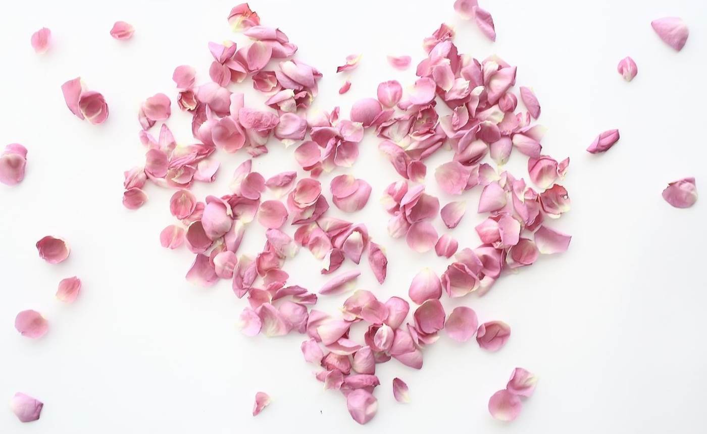 Design sans titre(1)