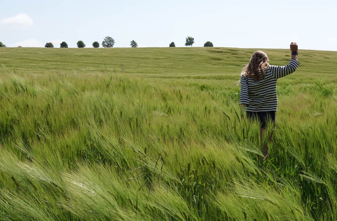 © Au Presbytère de Saigneville