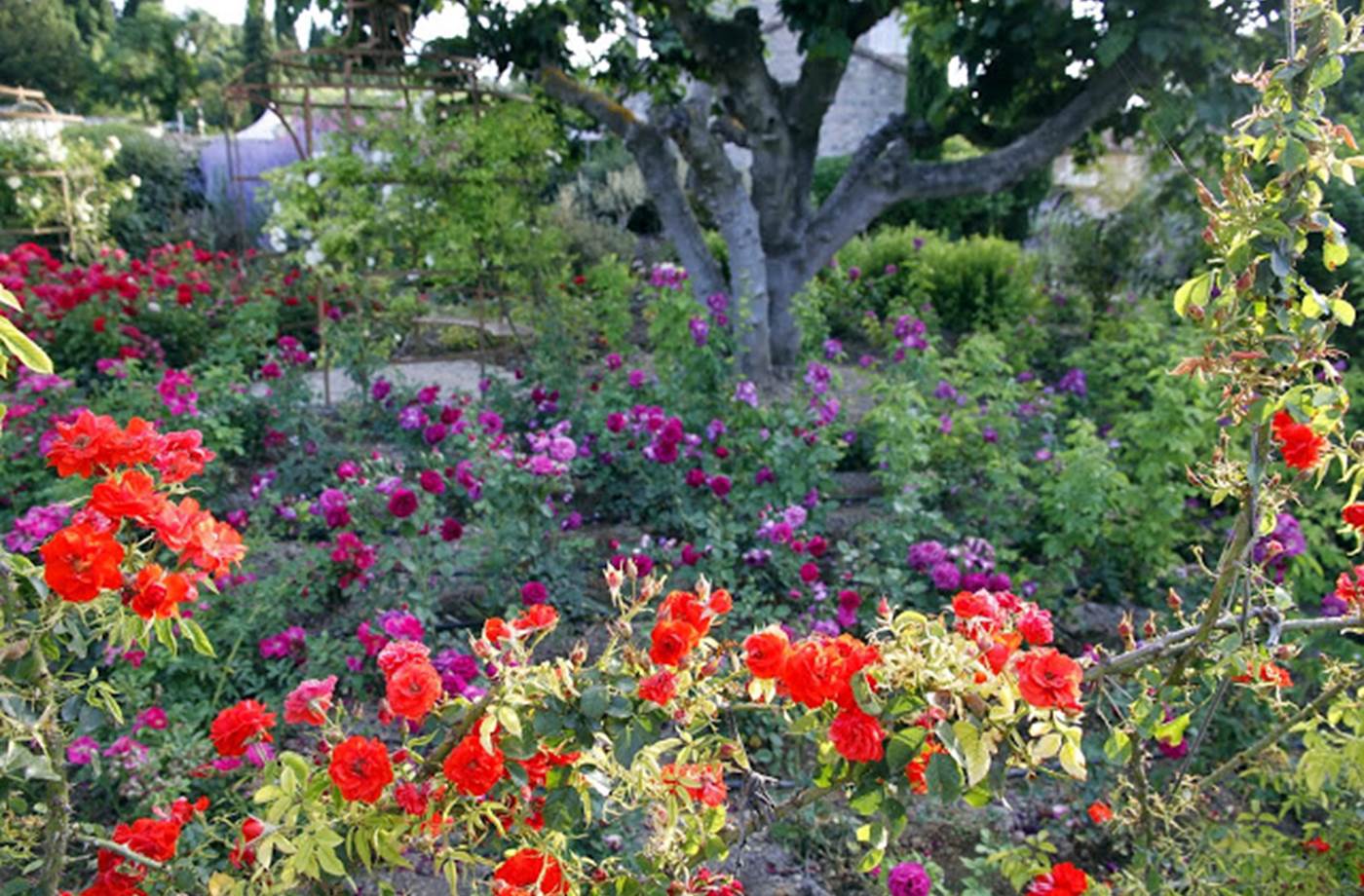 FR1406-1-013L00000 Mas des Figues