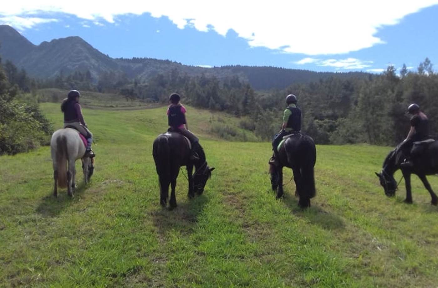 centre equestre de la fenetre