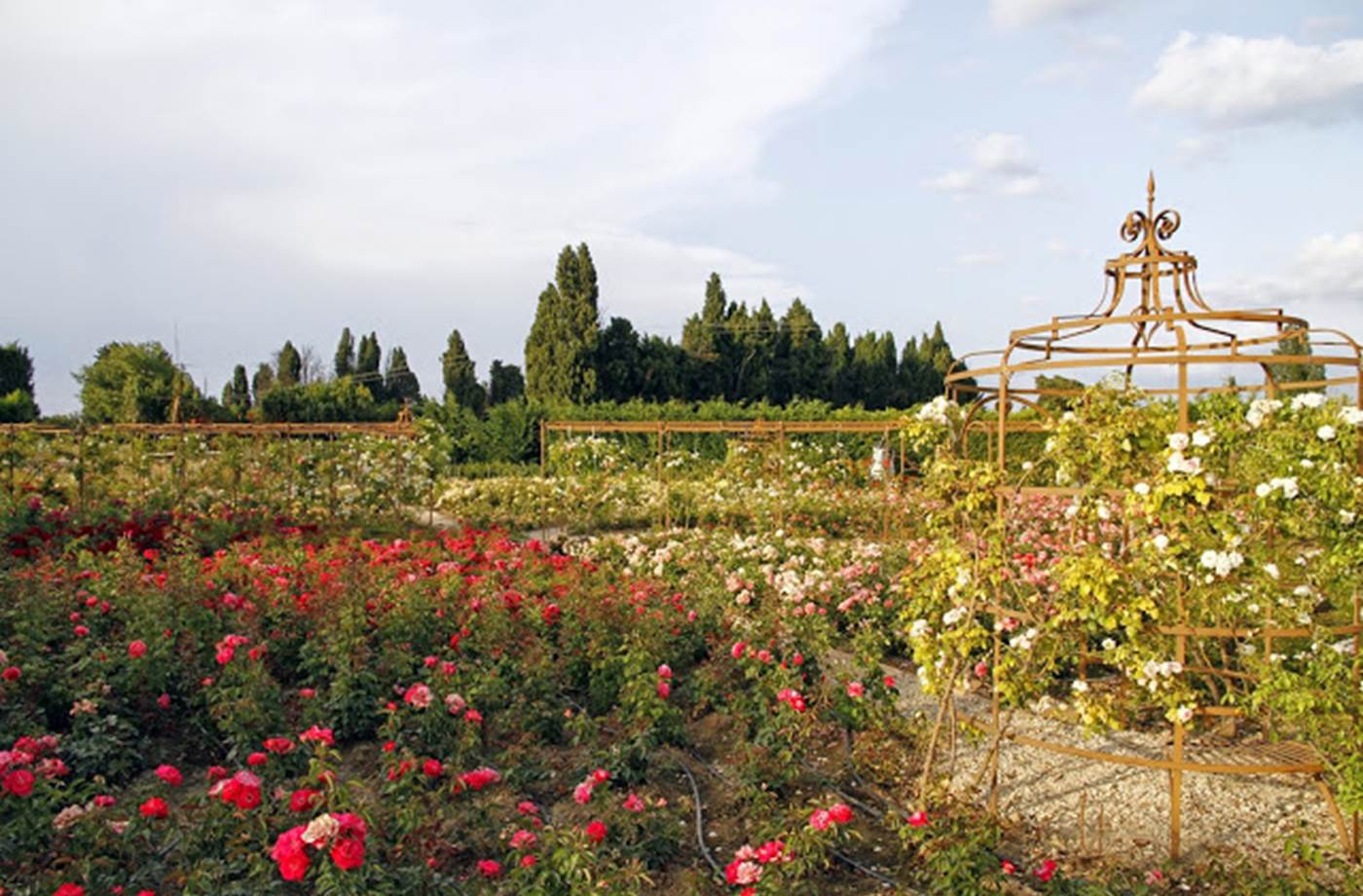 FR1406-1-004L00000 Mas des Figues