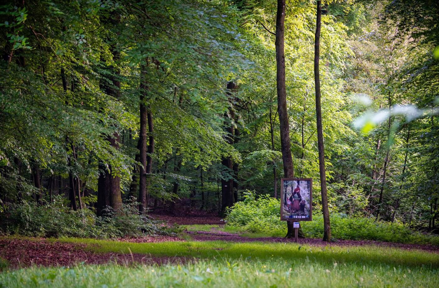 PBVW - Rita Photographie - Village de Redu