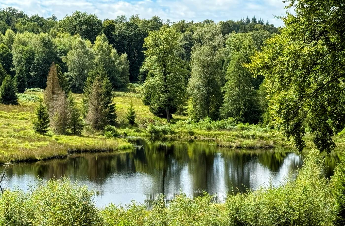 L'étang de la Bilaude