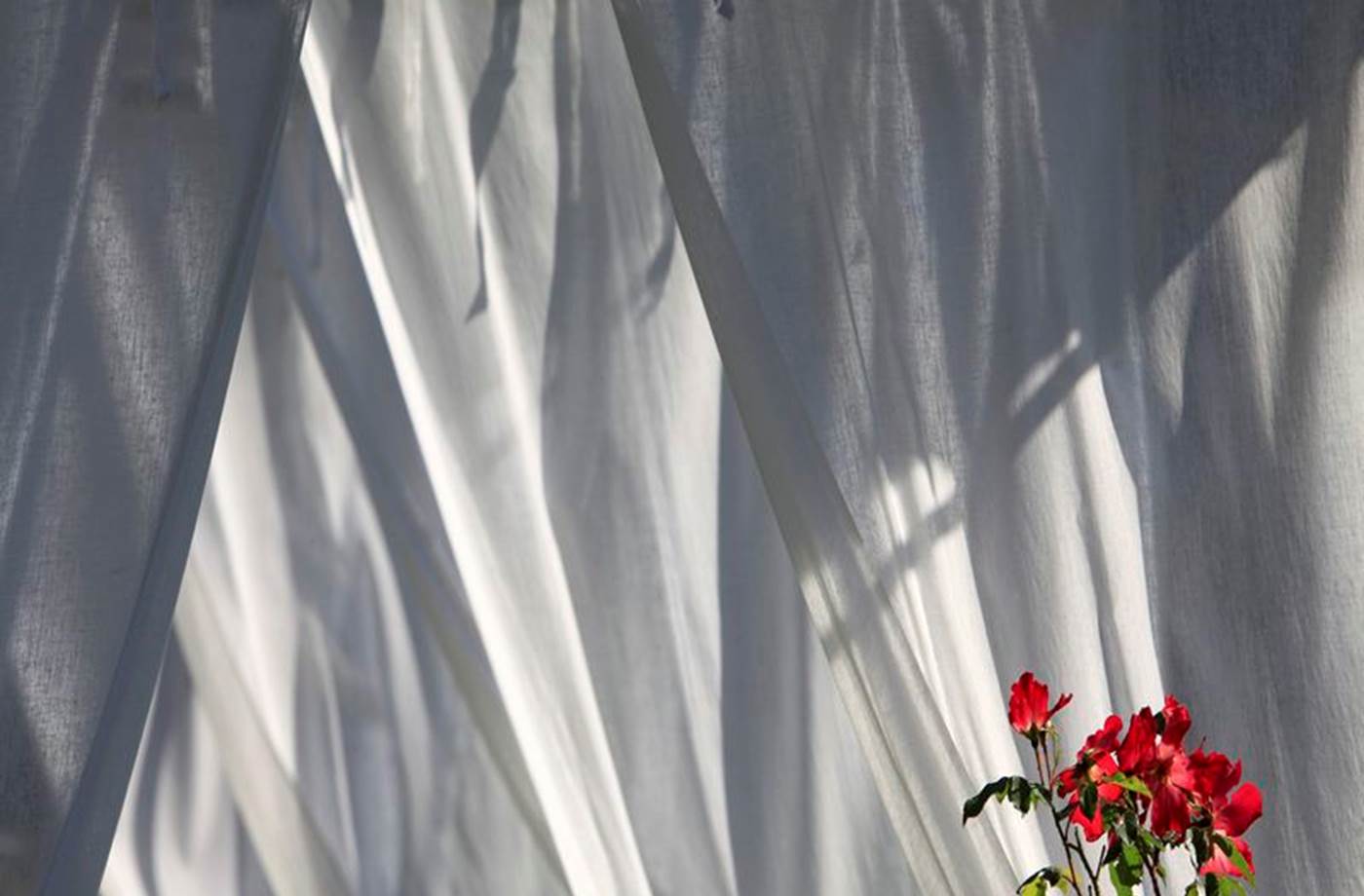 Calme et détente autour de la piscine sans vis à vis